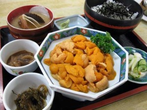 ブログ　北海道②